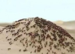 国产你懂的网站,内容丰富，暗藏玄机