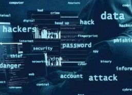 国产高清黄网站全免费,畅享影视盛宴的秘密基地