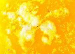 国产黄色图片,暗流涌动的网络迷雾